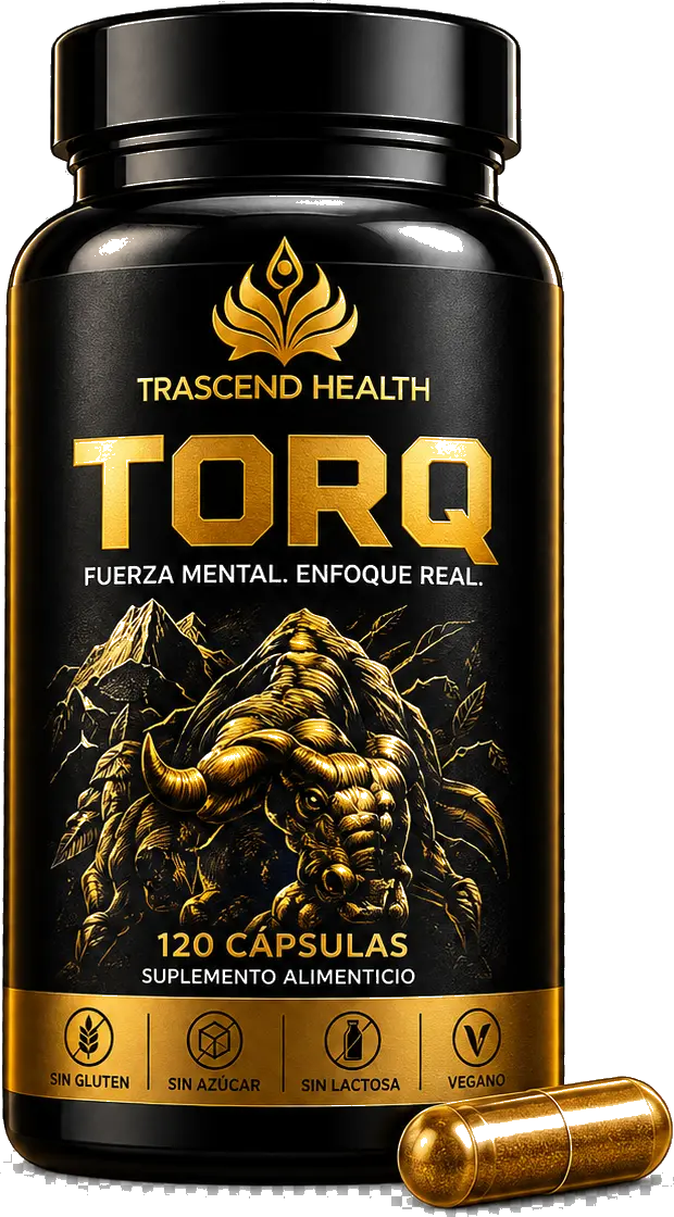 Render conceptual de TORQ